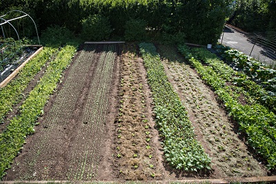 New Program Helps Agriculture Grow
