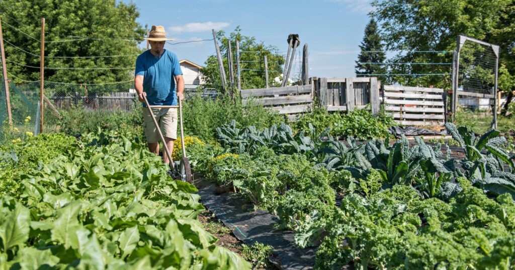 Planting the Seeds of Success