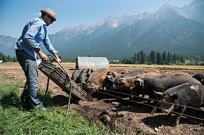 Agriculture Businesses Get Specialized Advice