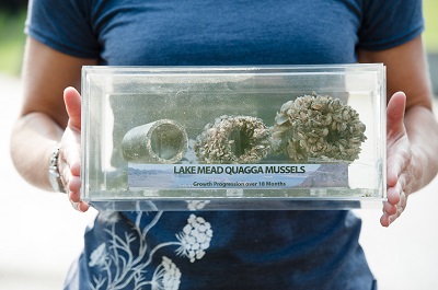 May is Invasive Species Month