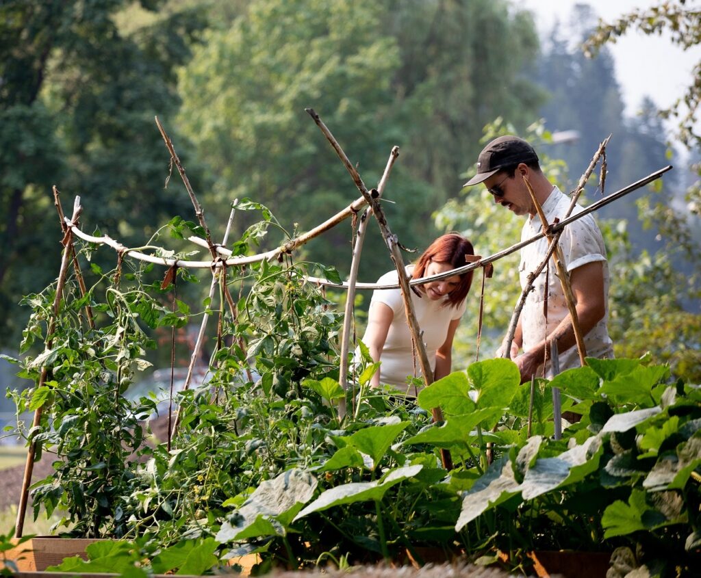 Growing community abundance