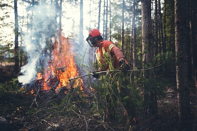 Taking Aim at Wildfire
