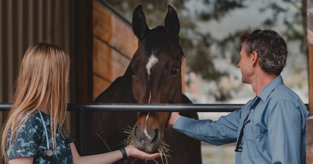 From Volunteer to Vet Tech