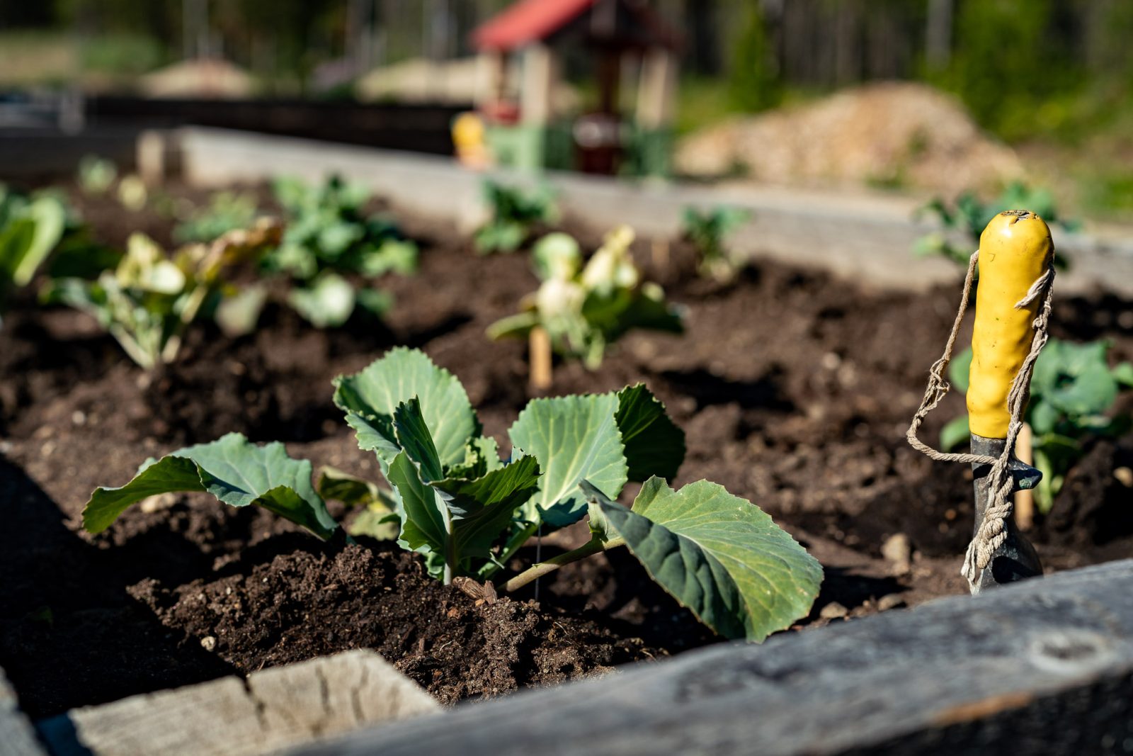 Healthy, local, affordable food arrives on Basin tables