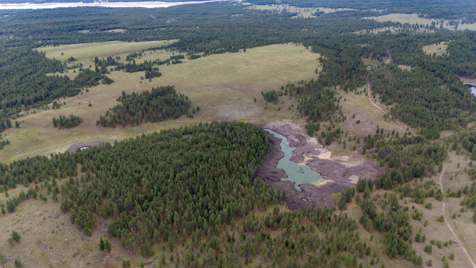 A wetland gets vital attention