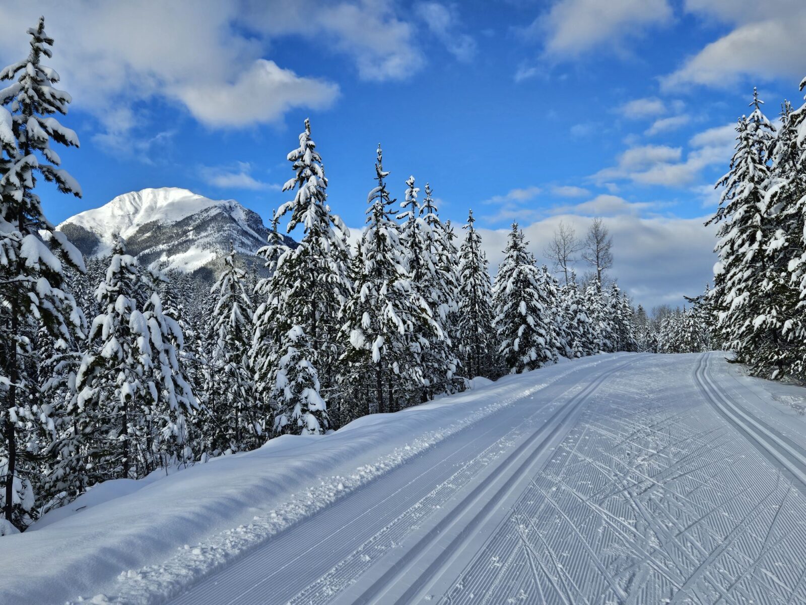 Basin communities embrace cross-country skiing