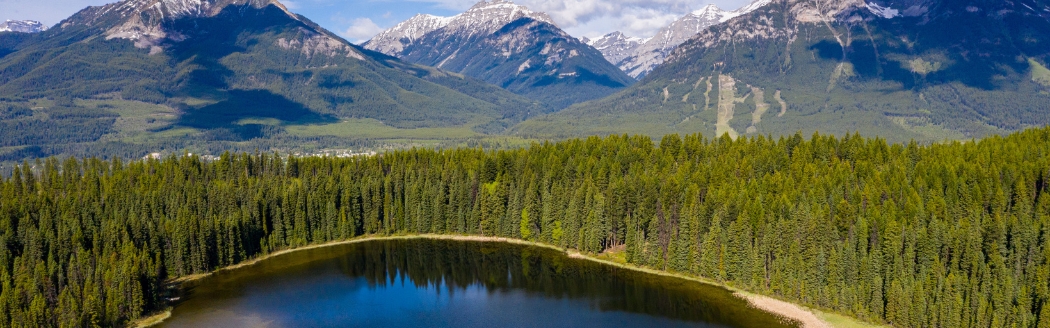 Small-scale Ecosystem Grants