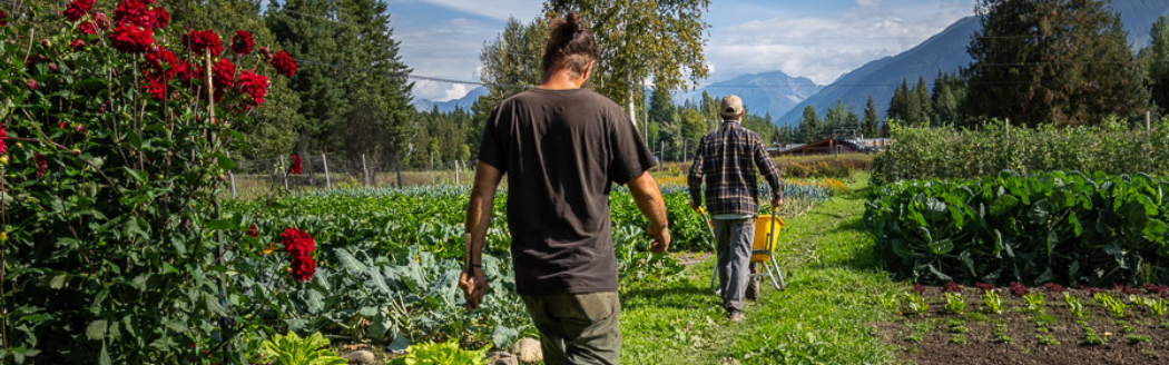 Food Producer Wage Subsidy & Training Support