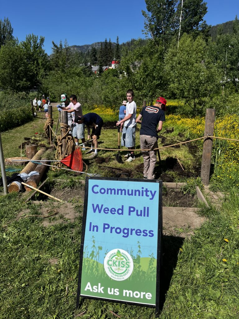 Small Wetland, Big Impact
